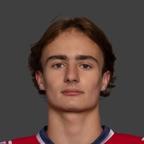 Dorogin Daniil Aleksandrovich
