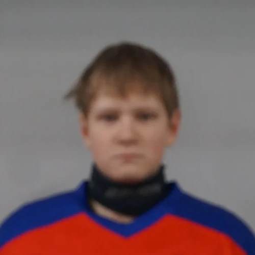 Shurmelev Vladimir Dmitrievich