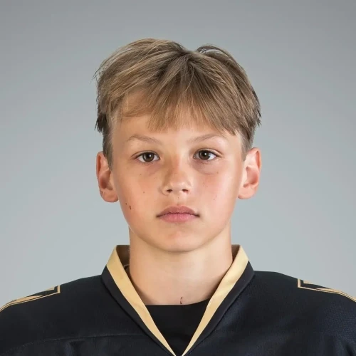 Hizhnyi Matvei Alekseevich