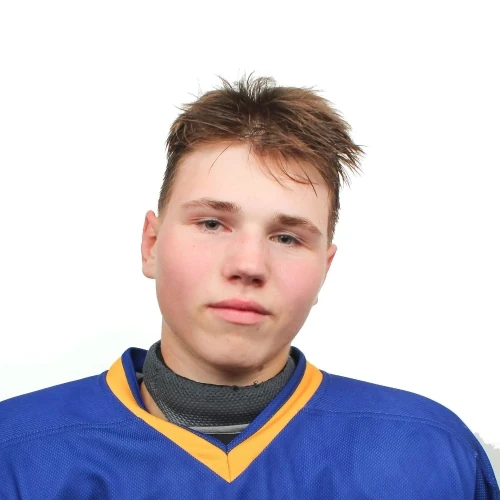 Gorozhaninov Matvei Sergeevich