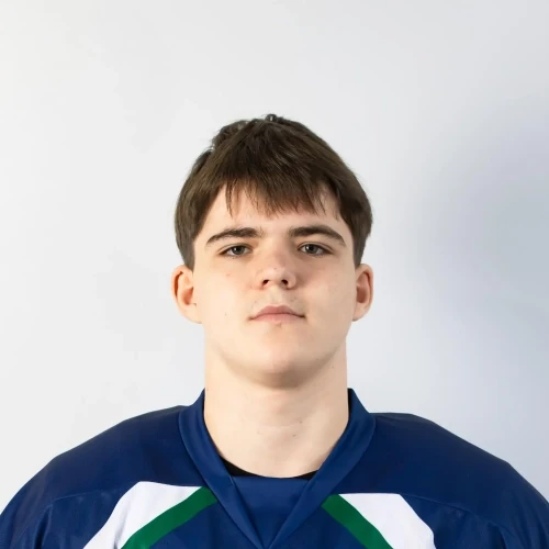 Tshik Artem Aleksandrovich