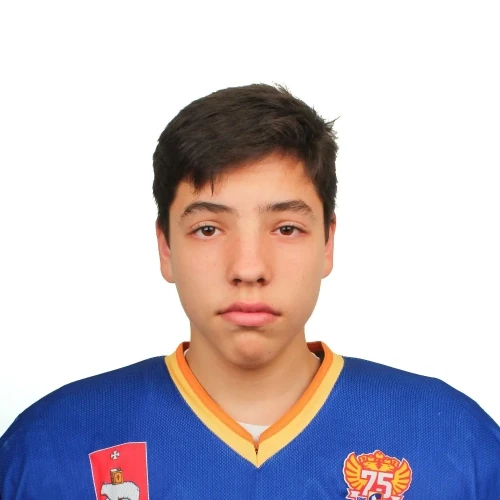 Toschevikov Dmitrii Yurevich