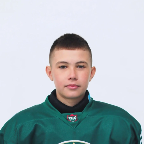 Valiullin Radel Ilgizovich