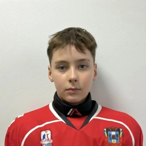 Yaltyryan Aleksei Ilich