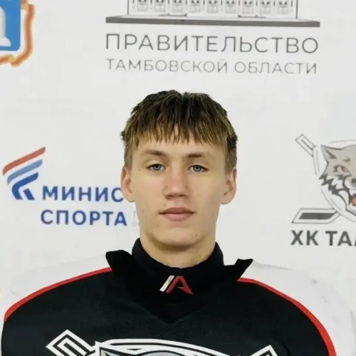 Иванов Илья Сергеевич