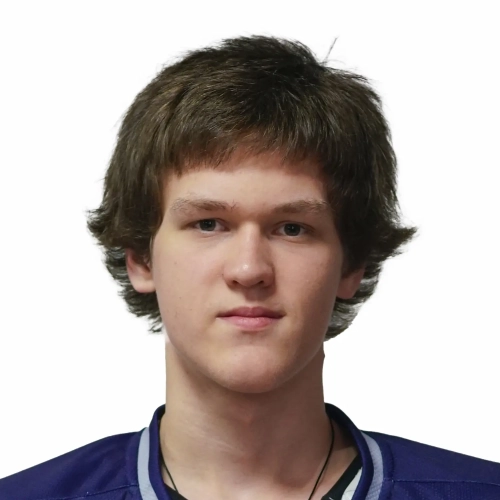 Timofeev Grigorii Ilich