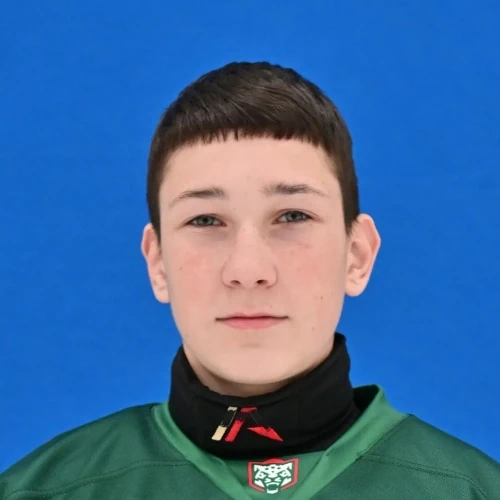 Hamidullin Yaromir Ramilevich