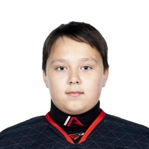 Voevodin Yaromir Pavlovich