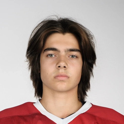 Rychkov Dmitrii Vadimovich