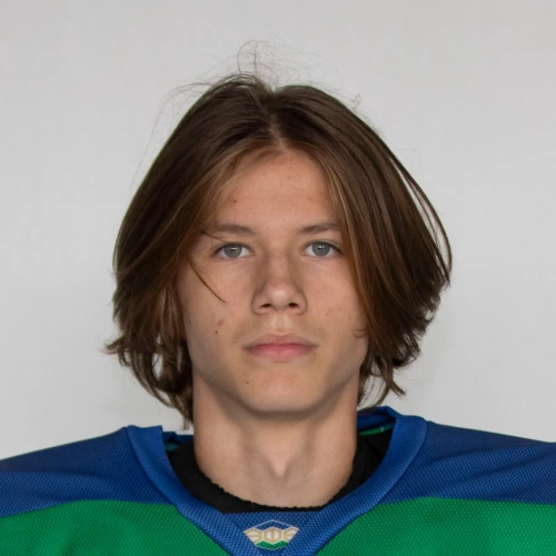 Loznov Stepan Aleksandrovich