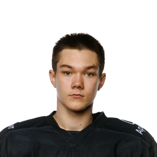 Telegin Artem Maksimovich