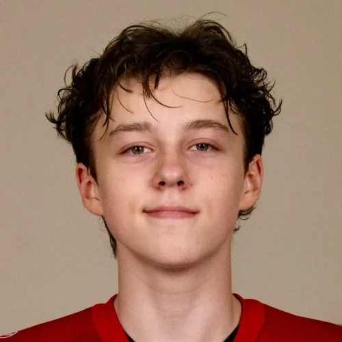 Andreevskii Daniil Sergeevich