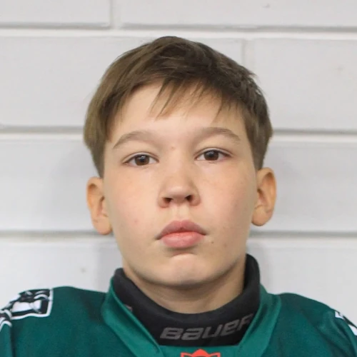Salimgaraev Danis Damirovich