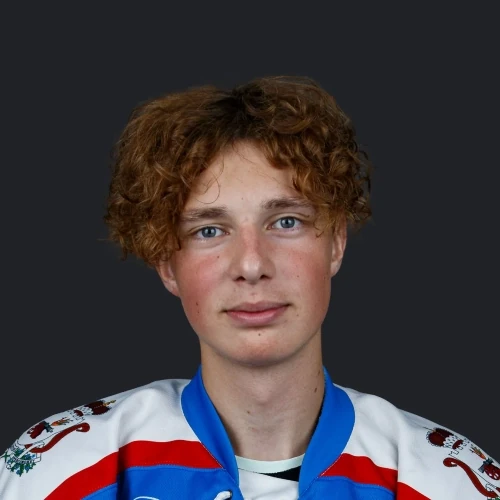 Vorobev Matvei Maksimovich