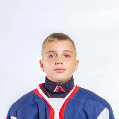 Geinrih Yaroslav Artemovich