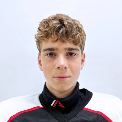 Bolotov Artem Sergeevich