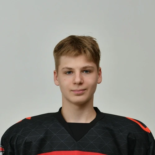 Eliseev Vladimir Dmitrievich