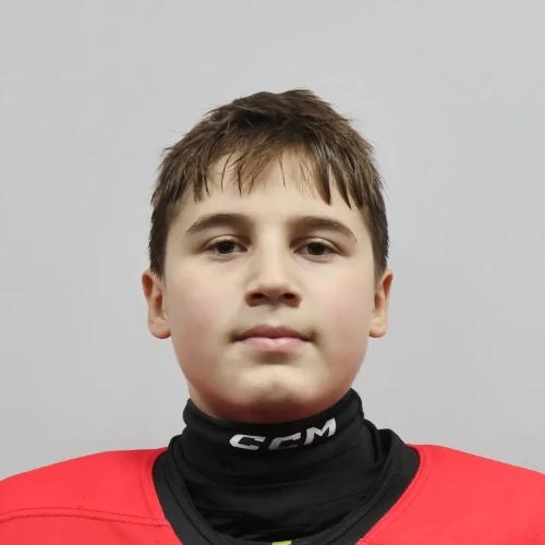 Bochkarev Igor Sergeevich