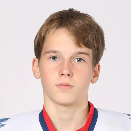 Gulnev Vladislav Igorevich