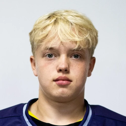 Pesterev Artem Vladimirovich