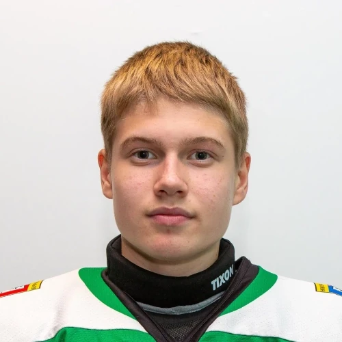 Kutygin Savelii Andreevich