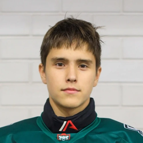 Dolgov Ruslan Olegovich