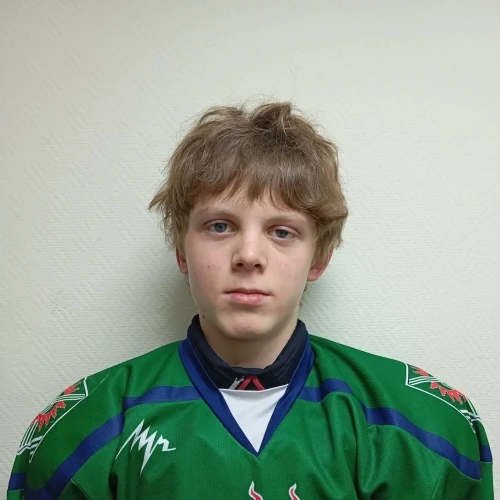 Krasnogorov Roman Aleksandrovich