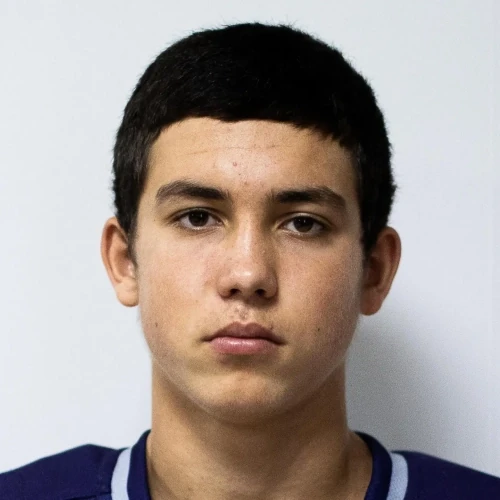 Aliev Damir Arturovich