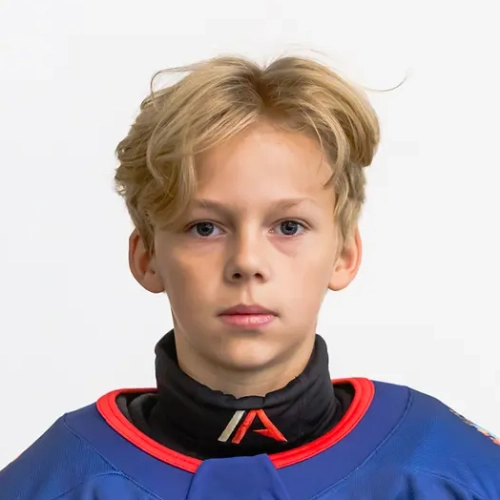 Sharov Artem Maksimovich