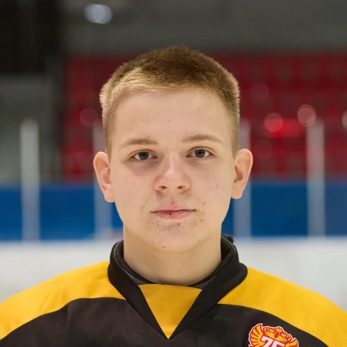 Sharov Andrei Nikolaevich