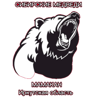 "Сибирские Медведи"