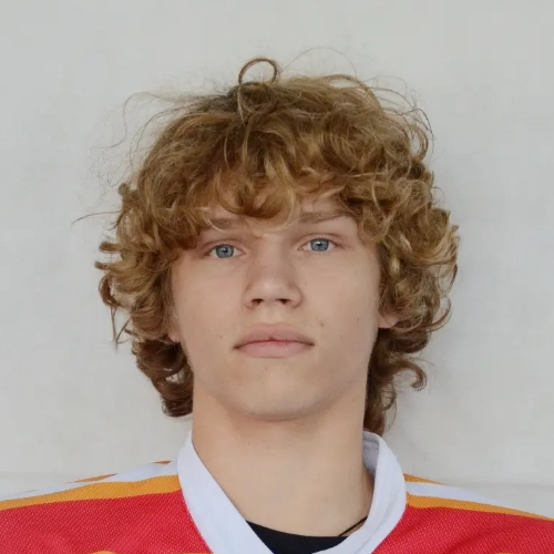Kulev Daniil Aleksandrovich