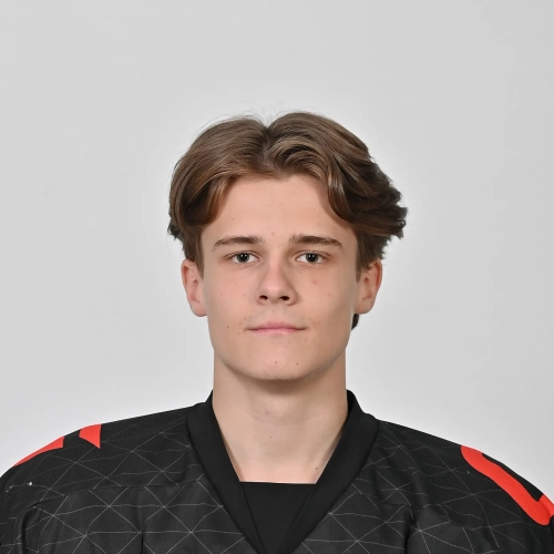 Kirsanov Mark Vladislavovich