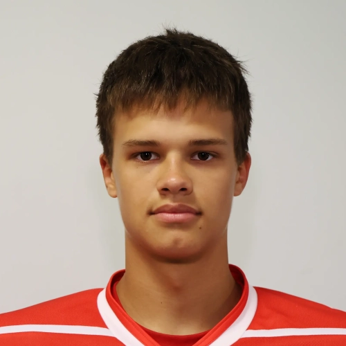 Anikeev Ivan Vitalevich