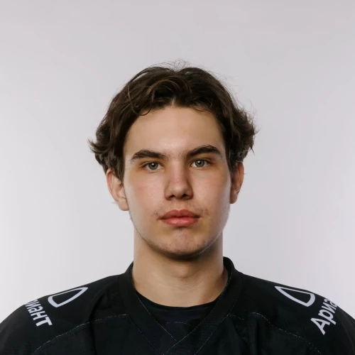 Medvedev Nikita Sergeevich