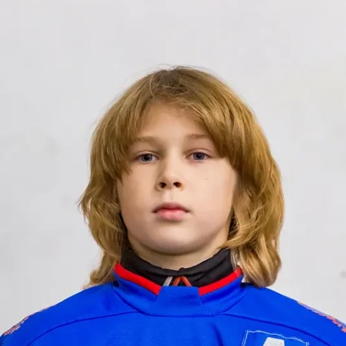 Sotnikov Dmitrii Sergeevich