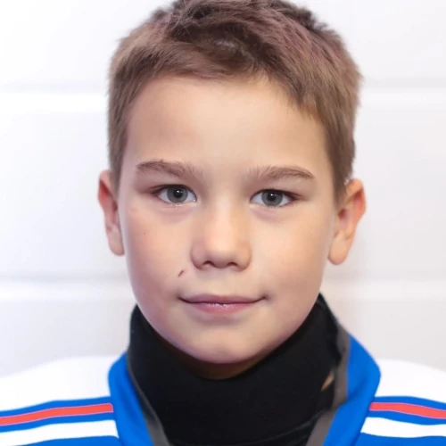 Voinov Mihail Denisovich