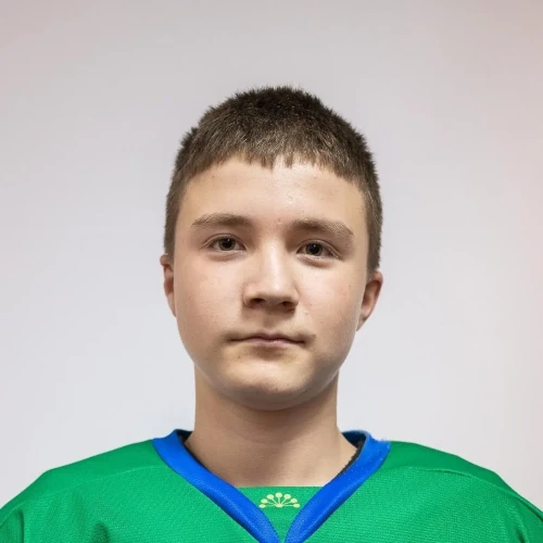 Gubaidullin Rim Ravilevich