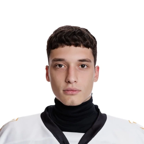 Shevtsov Artem Dmitrievich