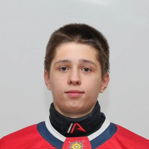 Arshinov Leonid Mihailovich