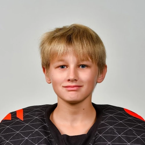 Komarov Lev Ilich
