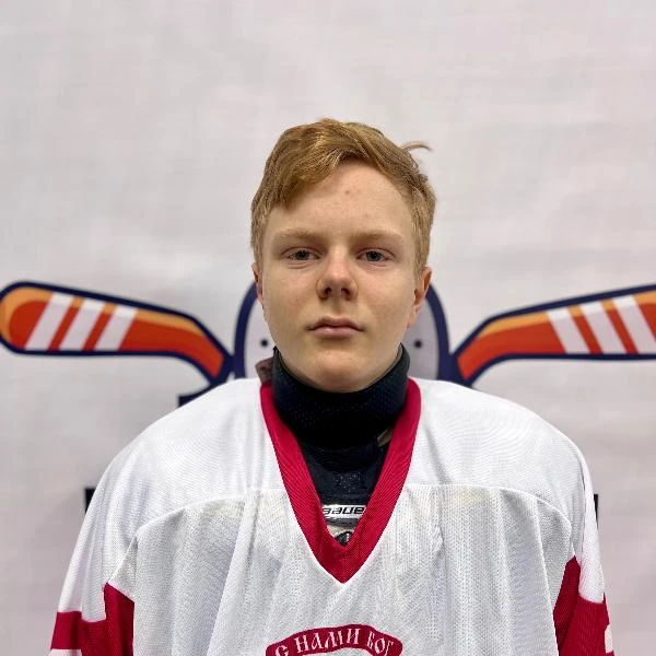 Fedorov Dmitrii Ivanovich