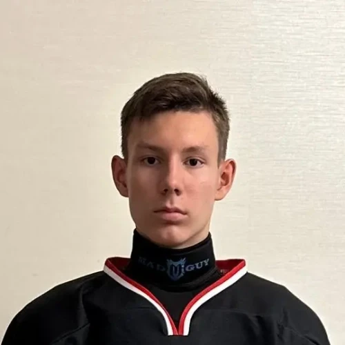 Aminov Vladislav Ruslanovich