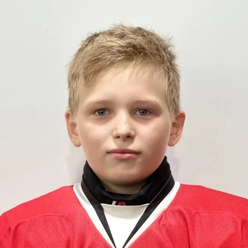 Knyazev Dmitrii Sergeevich
