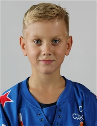 Arsentev Mark Dmitrievich