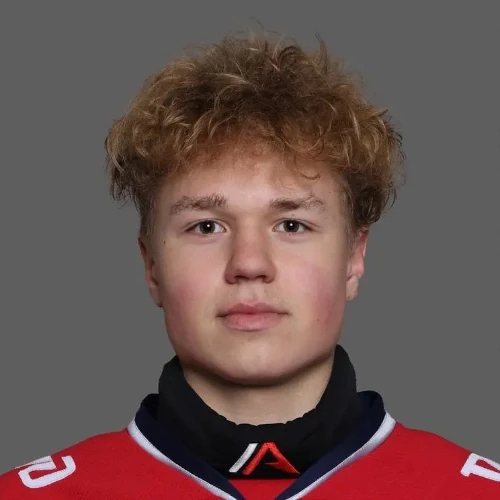 Gorodkov Kirill