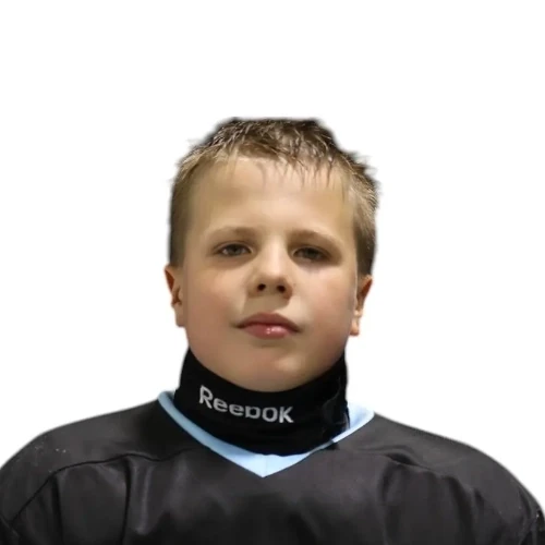 Dosov Georgii Alekseevich