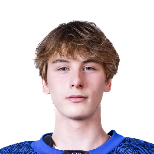 Luginin Vladislav Igorevich