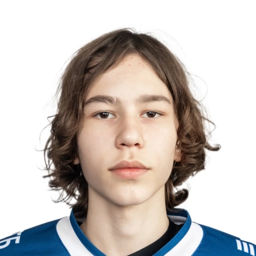 Badmaev Artem Denisovich
