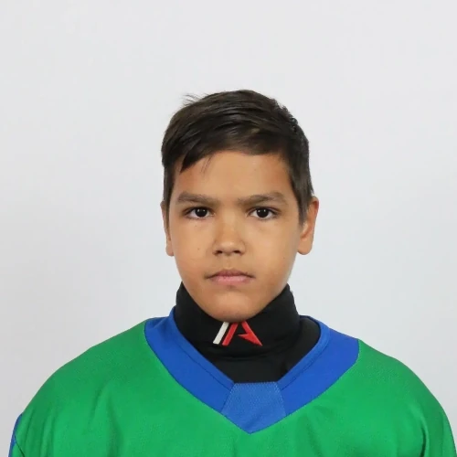 Ganiev Ravil Denisovich